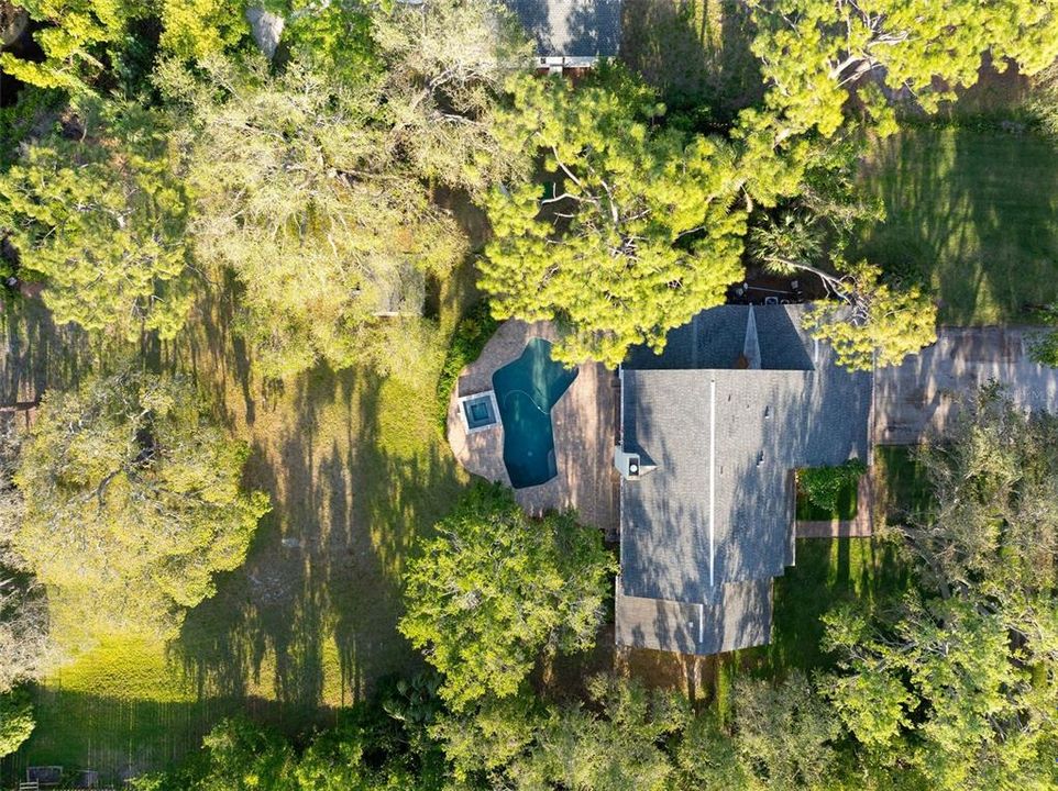 Drone view