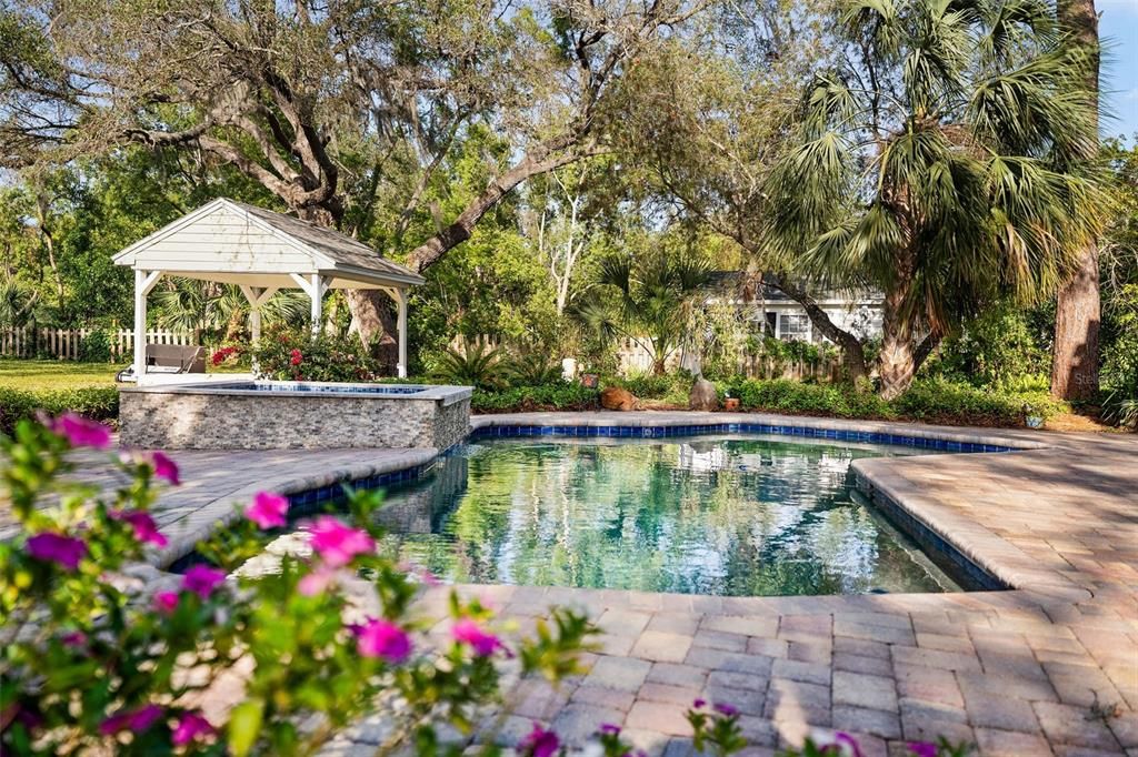 Pool & SPA, gazebo