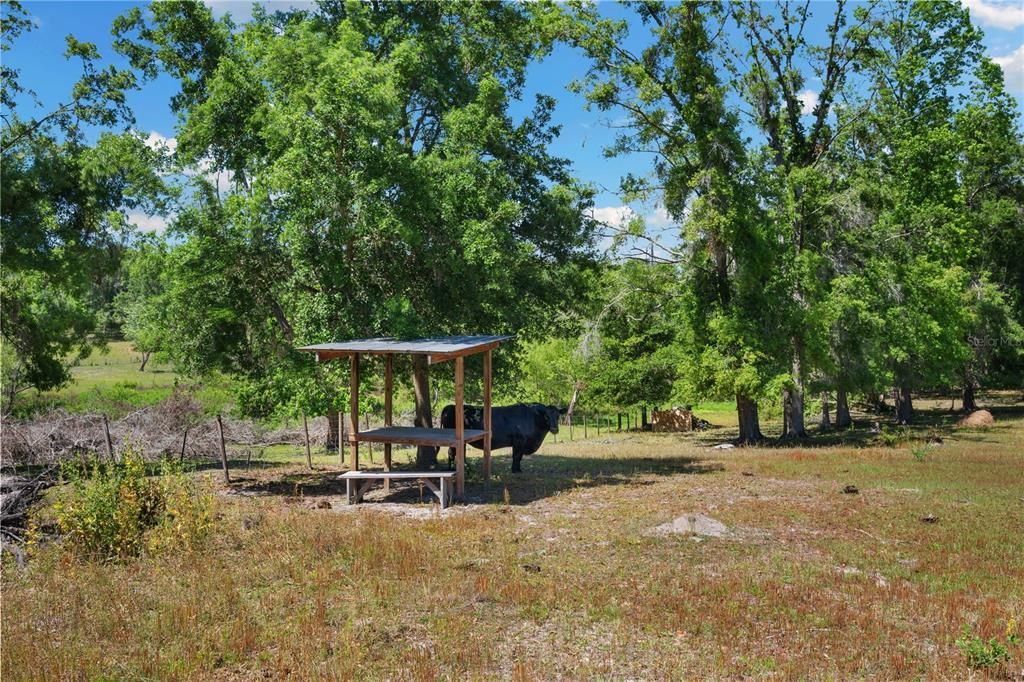 En Venta: $1,395,000 (4 camas, 3 baños, 3769 Pies cuadrados)