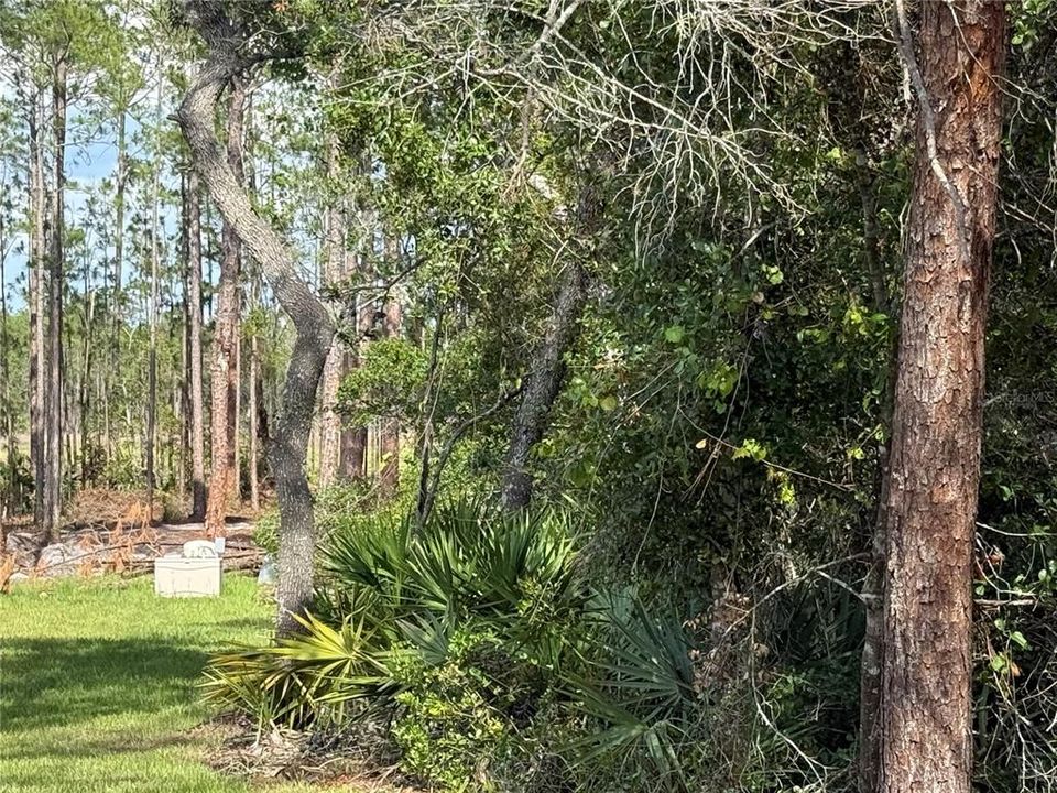 En Venta: $95,000 (1.00 acres)