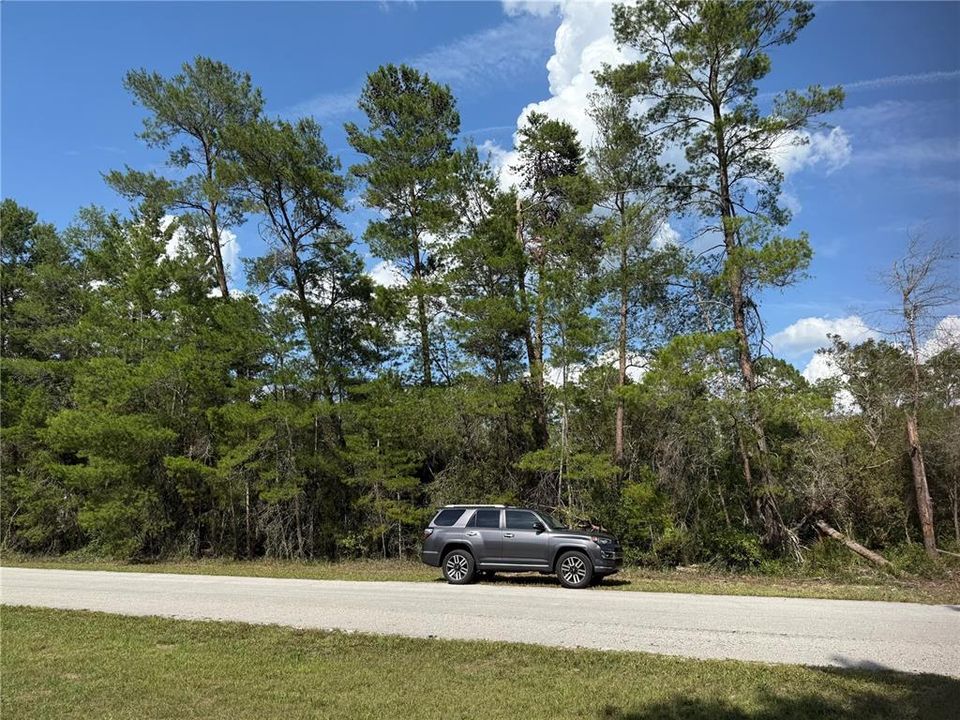 En Venta: $95,000 (1.00 acres)