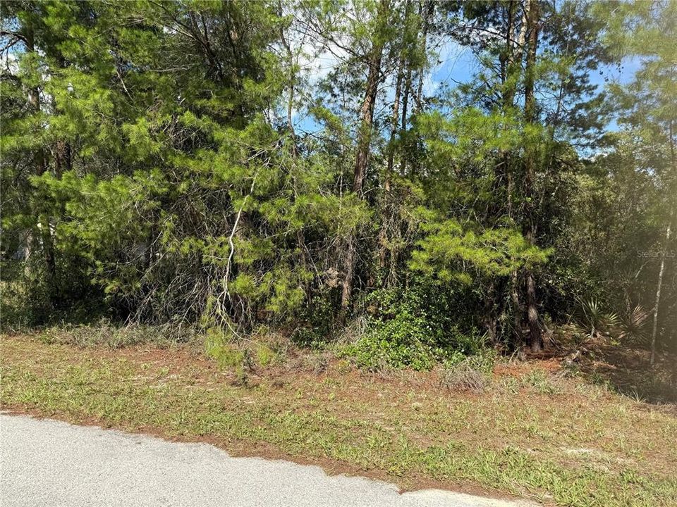 En Venta: $95,000 (1.00 acres)