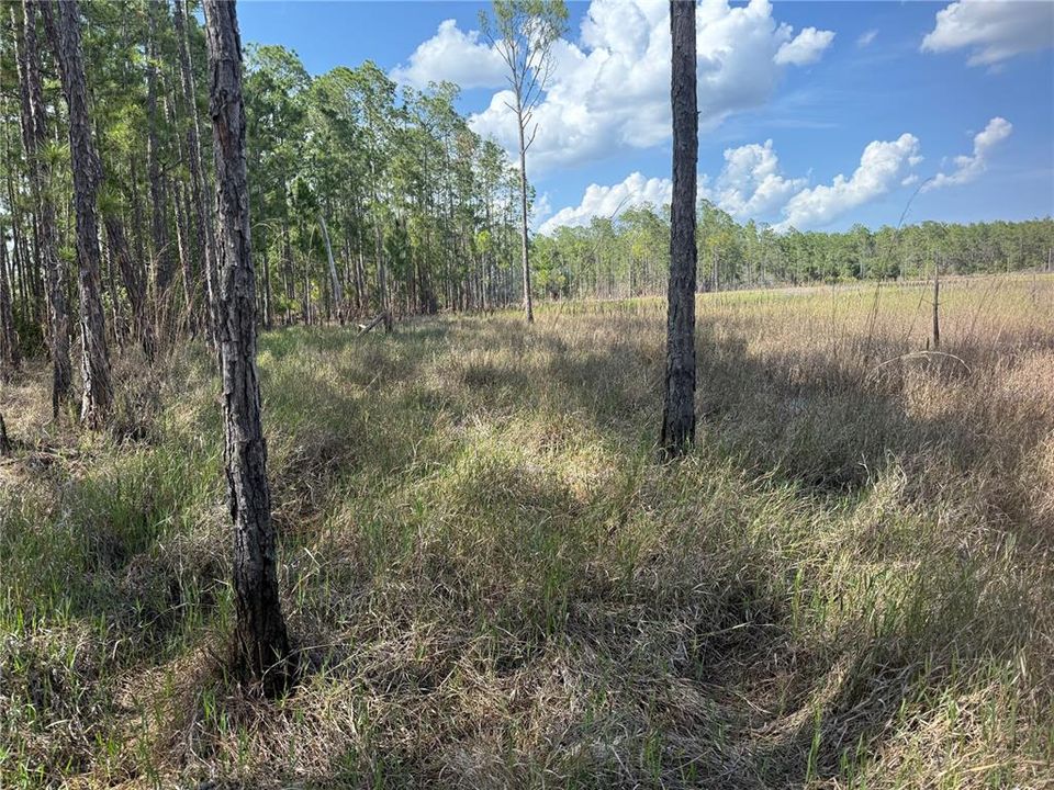 En Venta: $95,000 (1.00 acres)