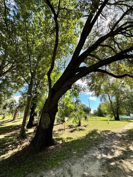 待售: $24,900 (0.37 acres)