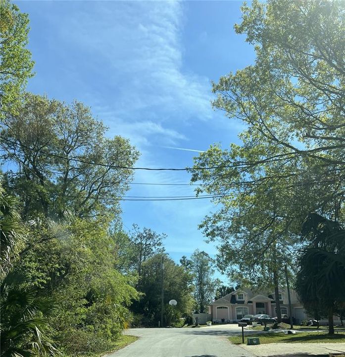 For Sale: $79,000 (0.26 acres)