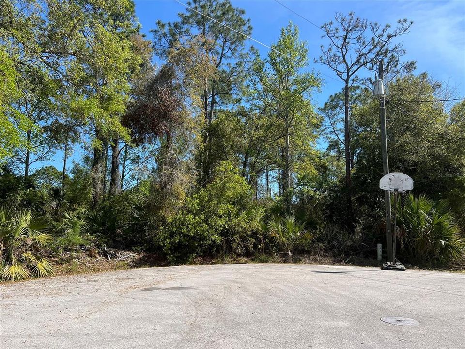 For Sale: $79,000 (0.26 acres)