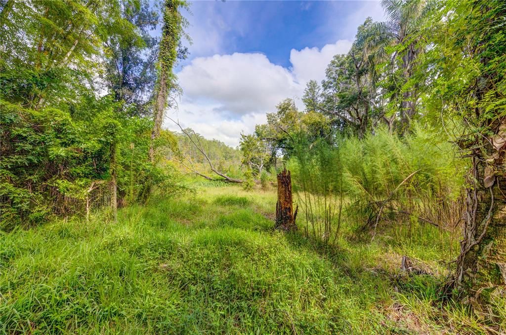 For Sale: $150,000 (1.84 acres)