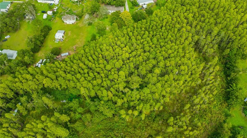 For Sale: $150,000 (1.84 acres)