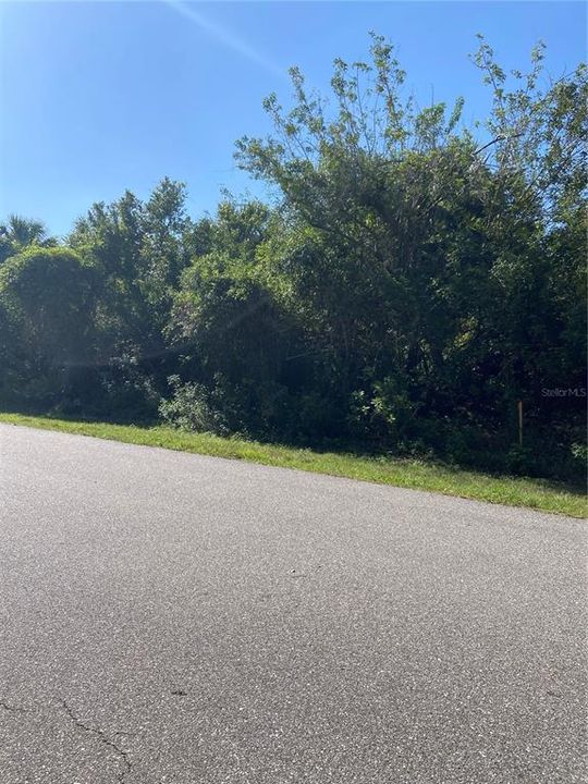 For Sale: $24,900 (0.28 acres)