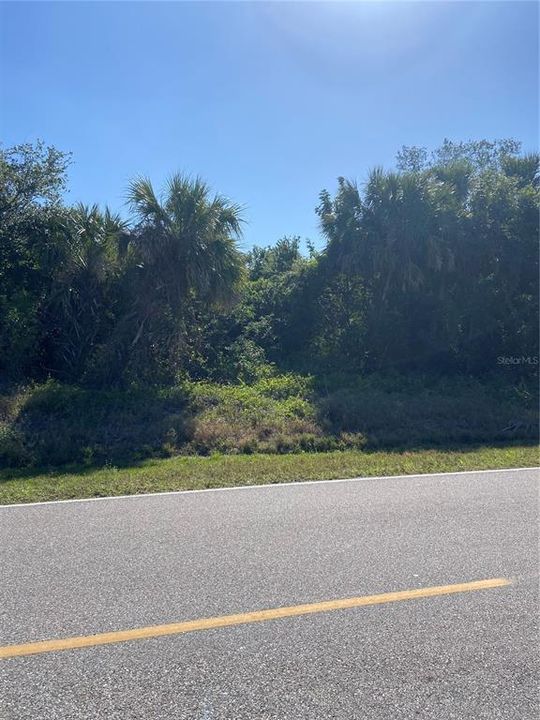 For Sale: $24,900 (0.28 acres)