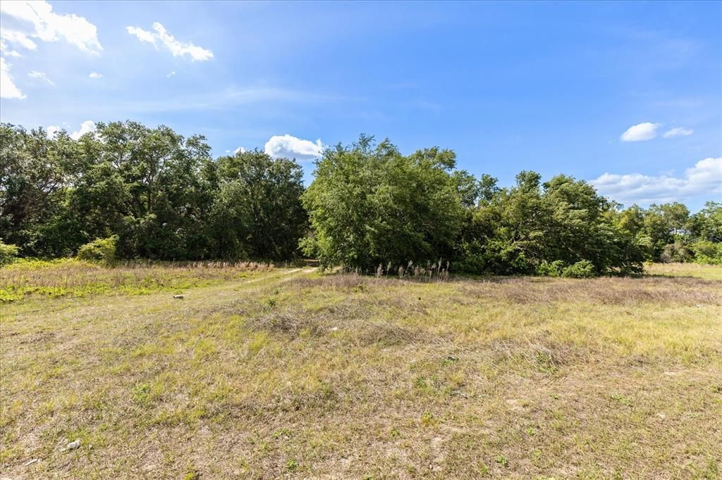 合同活跃: $1,650,000 (4.98 acres)