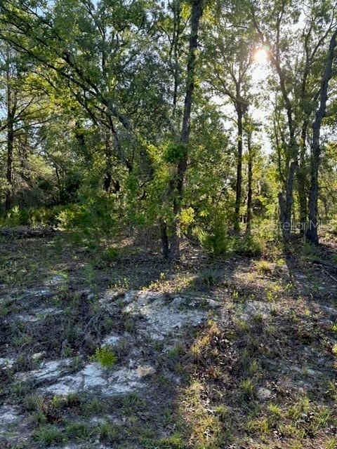 Недавно продано: $11,000 (0.26 acres)