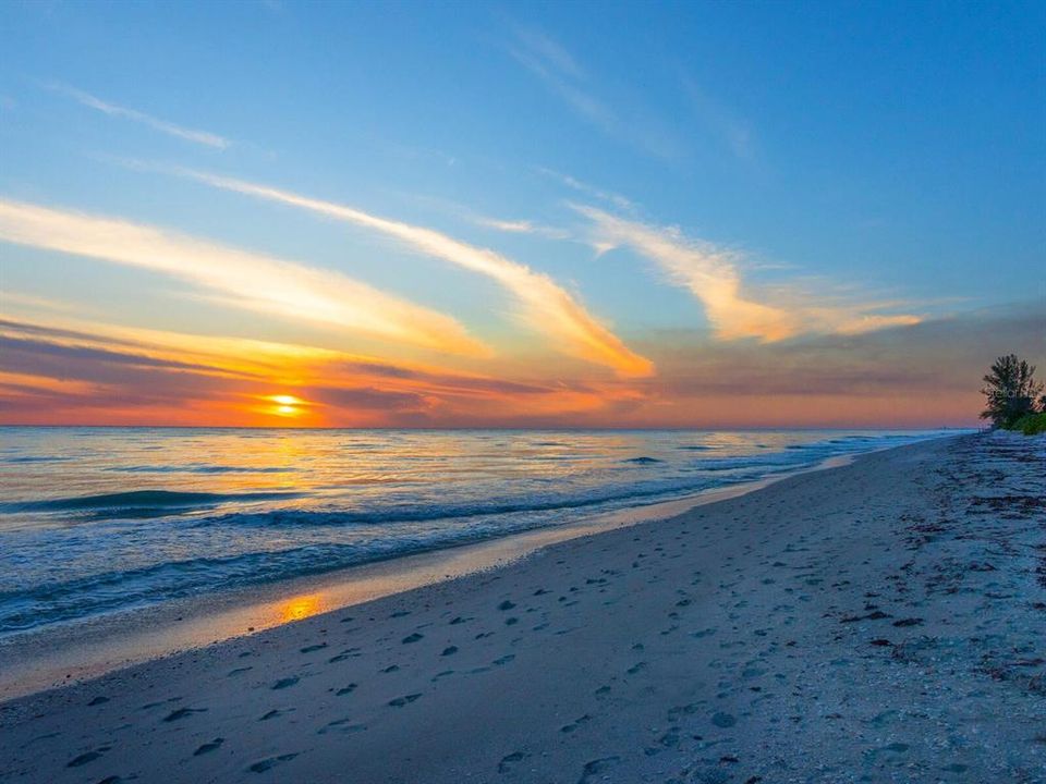 На продажу: $3,995,000 (4 спален, 4 ванн, 3273 Квадратных фут)