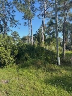 Recently Sold: $78,500 (0.24 acres)