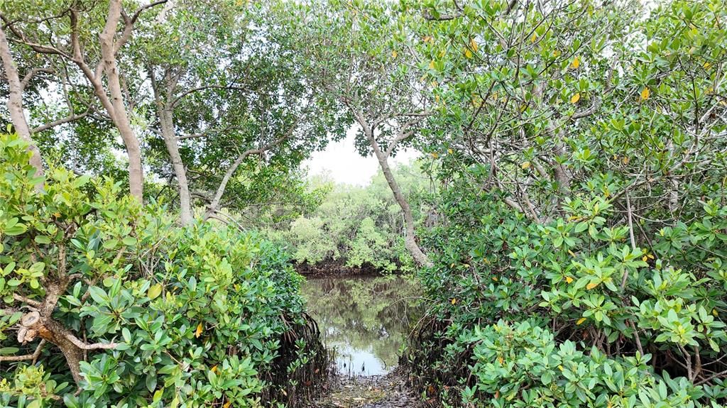 На продажу: $239,000 (2 спален, 1 ванн, 1170 Квадратных фут)