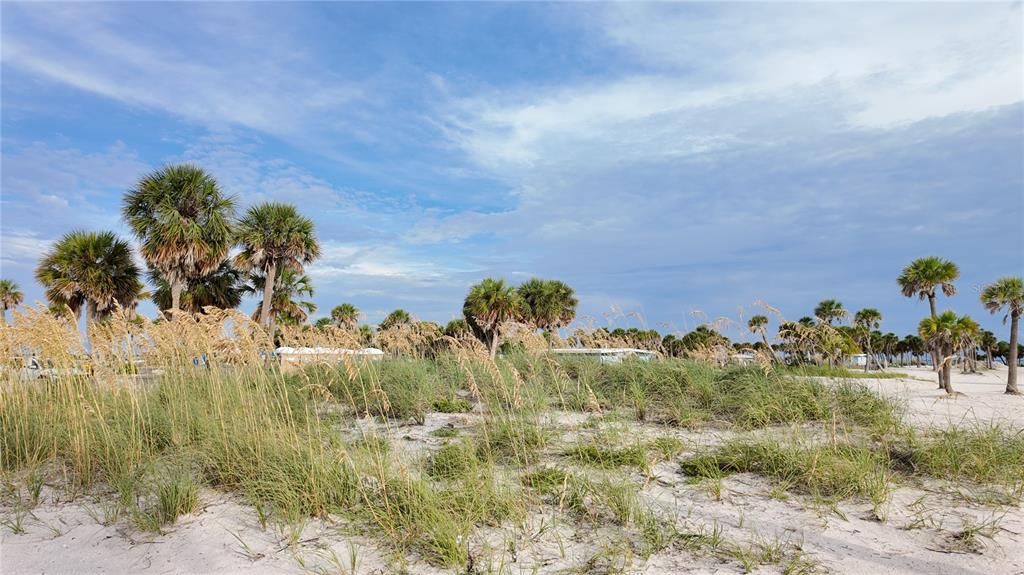 На продажу: $239,000 (2 спален, 1 ванн, 1170 Квадратных фут)