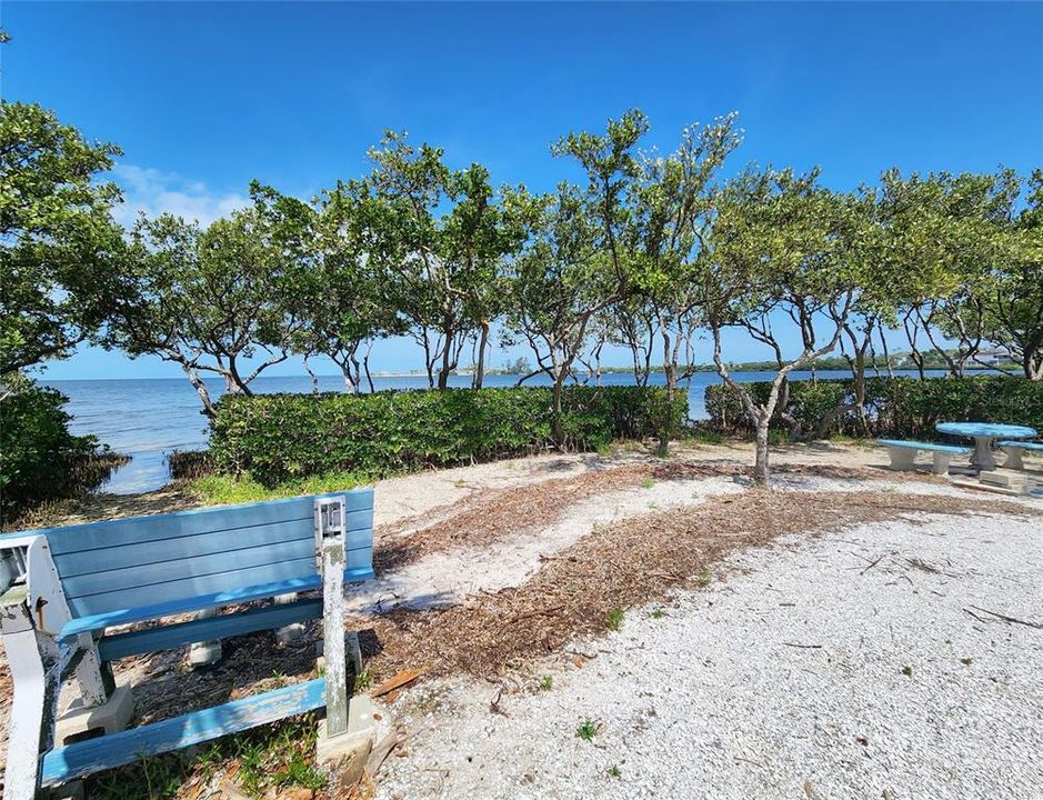 На продажу: $239,000 (2 спален, 1 ванн, 1170 Квадратных фут)