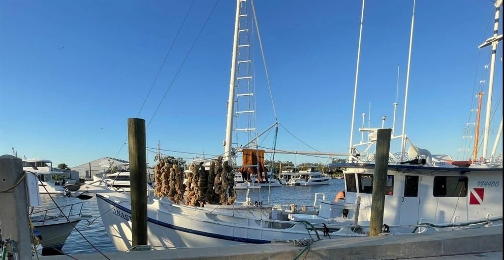 На продажу: $239,000 (2 спален, 1 ванн, 1170 Квадратных фут)