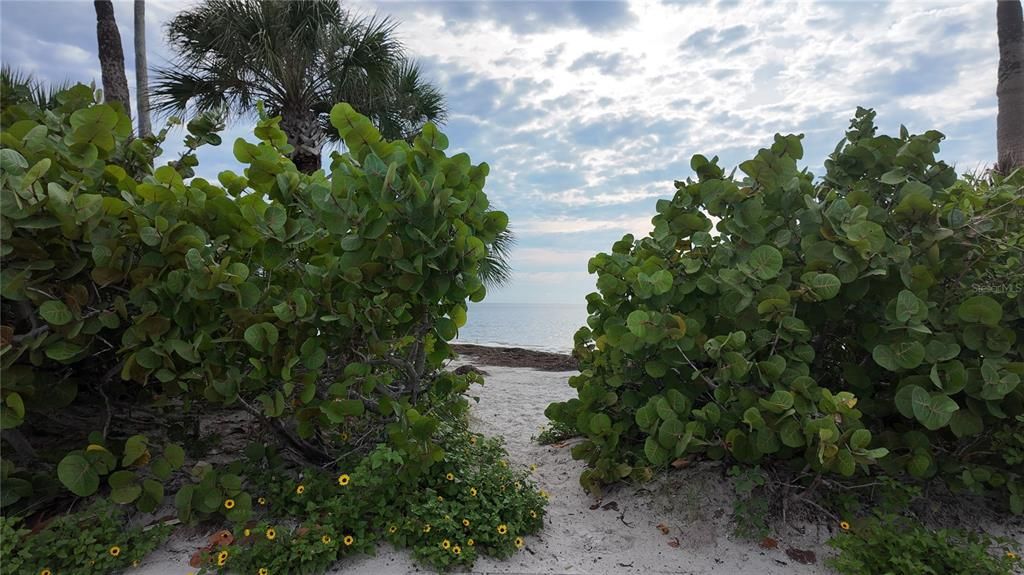 На продажу: $239,000 (2 спален, 1 ванн, 1170 Квадратных фут)