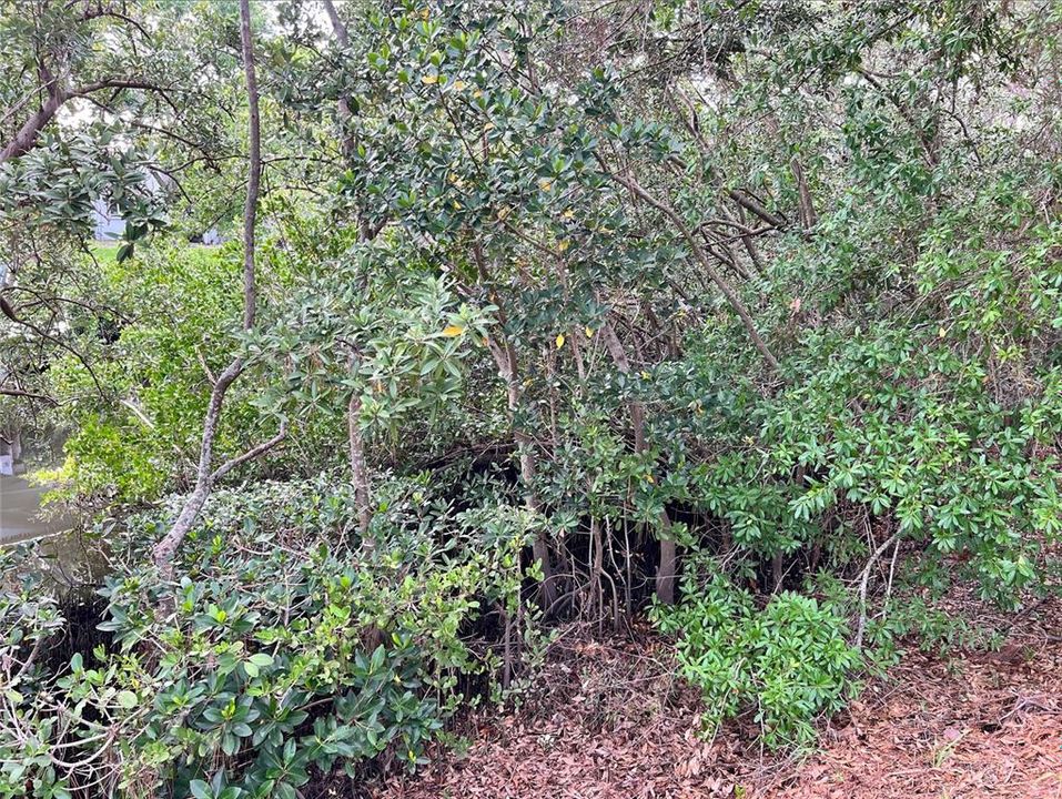 待售: $149,000 (0.14 acres)