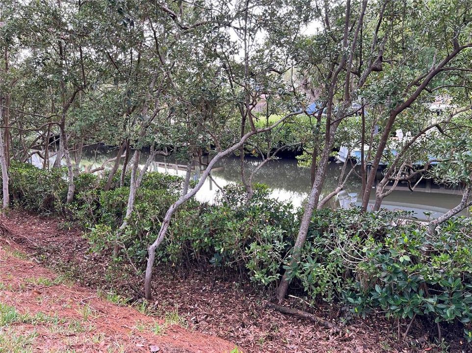 待售: $149,000 (0.14 acres)