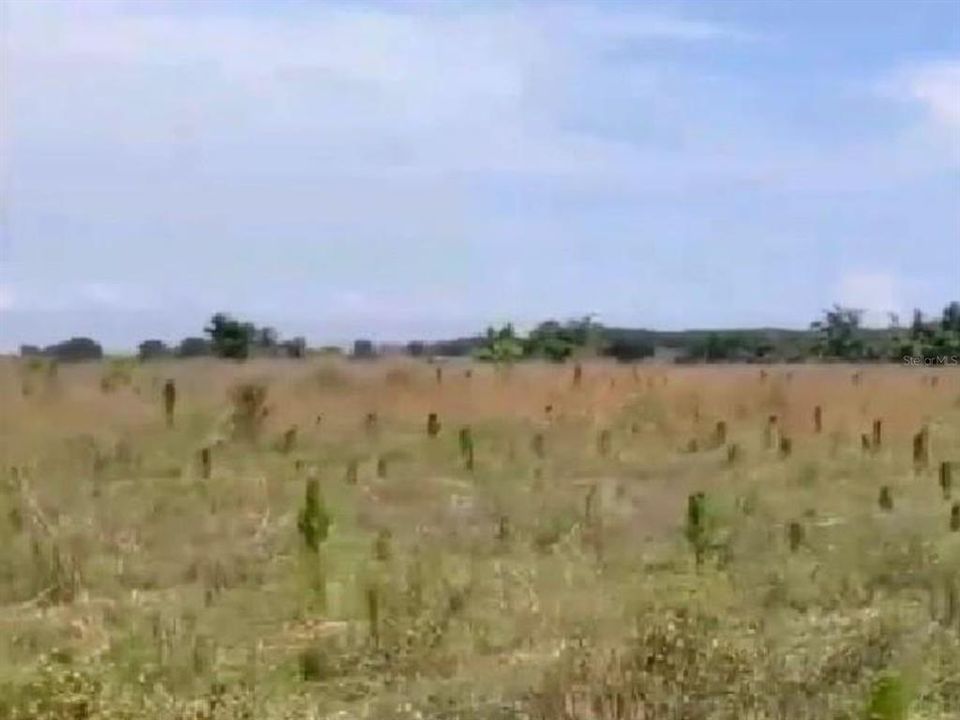 En Venta: $150,000 (10.23 acres)