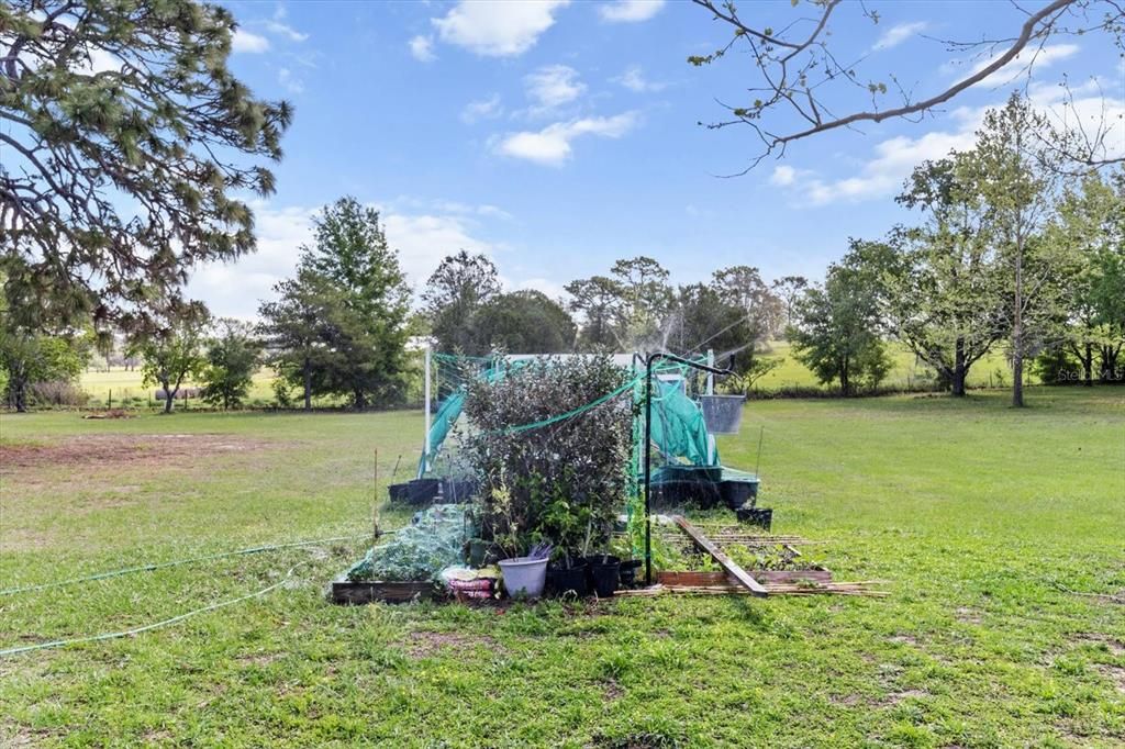 На продажу: $499,900 (4 спален, 2 ванн, 1980 Квадратных фут)