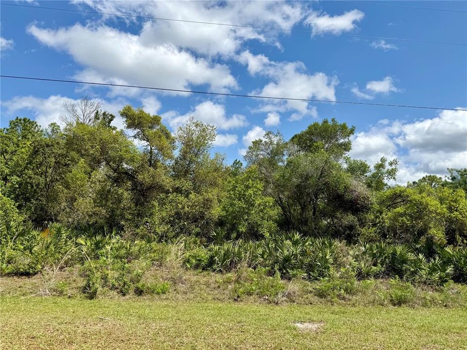 Recently Sold: $89,000 (1.05 acres)