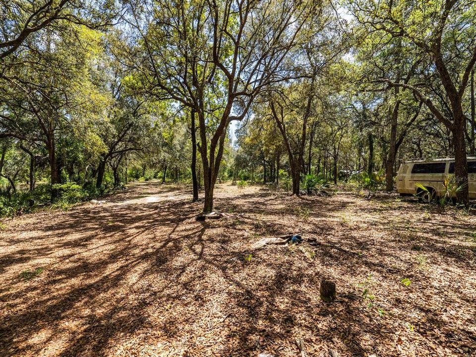 待售: $340,000 (4 贝兹, 2 浴室, 2365 平方英尺)