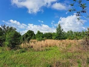 待售: $289,000 (4.15 acres)