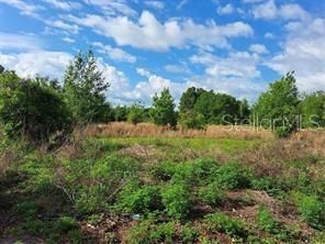 待售: $289,000 (4.15 acres)