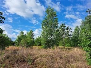 待售: $289,000 (4.15 acres)