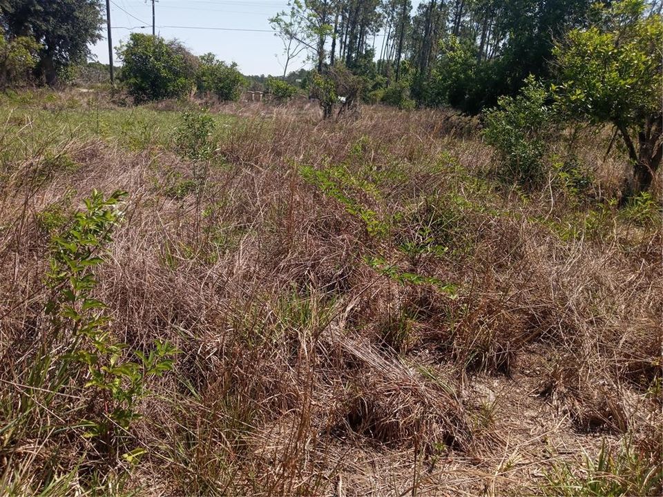 待售: $289,000 (4.15 acres)