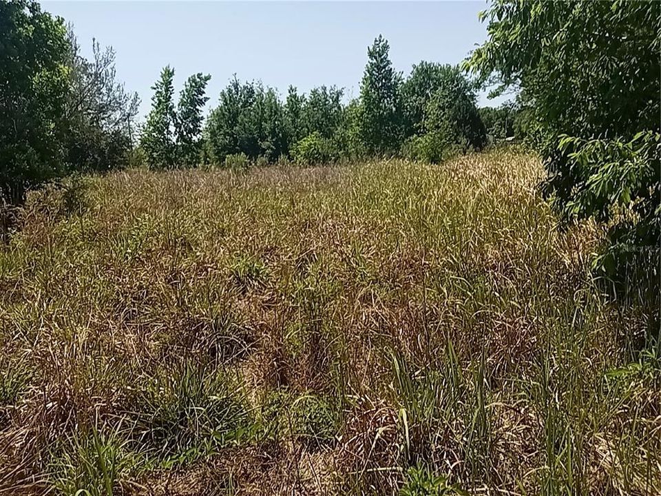 待售: $289,000 (4.15 acres)