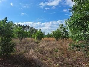 待售: $289,000 (4.15 acres)