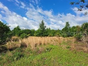 待售: $289,000 (4.15 acres)