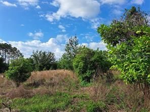 待售: $289,000 (4.15 acres)