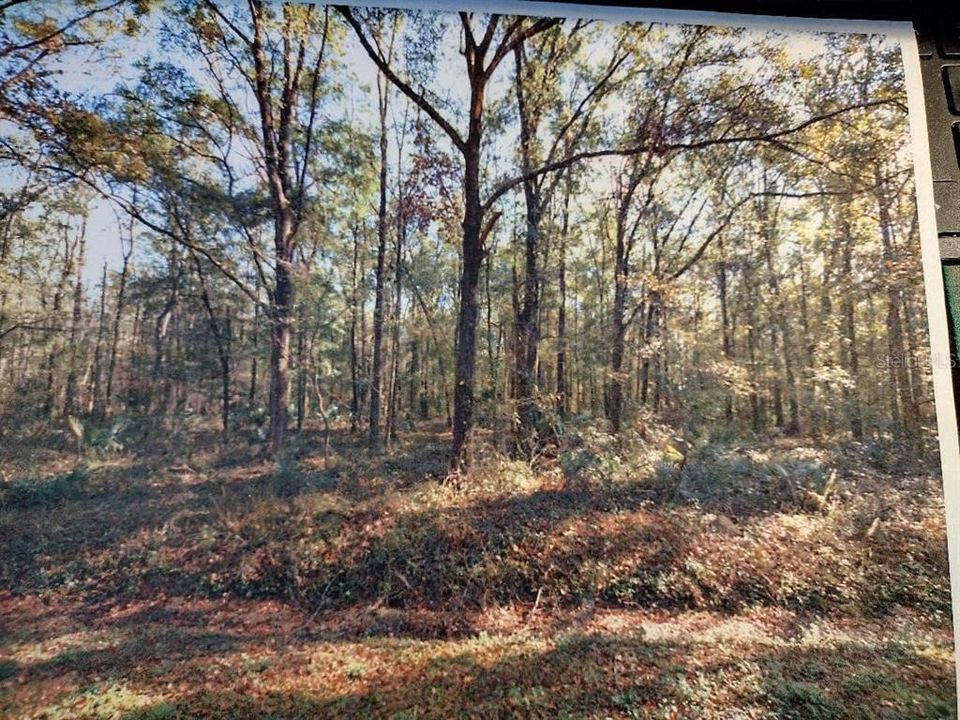 For Sale: $85,000 (2.27 acres)