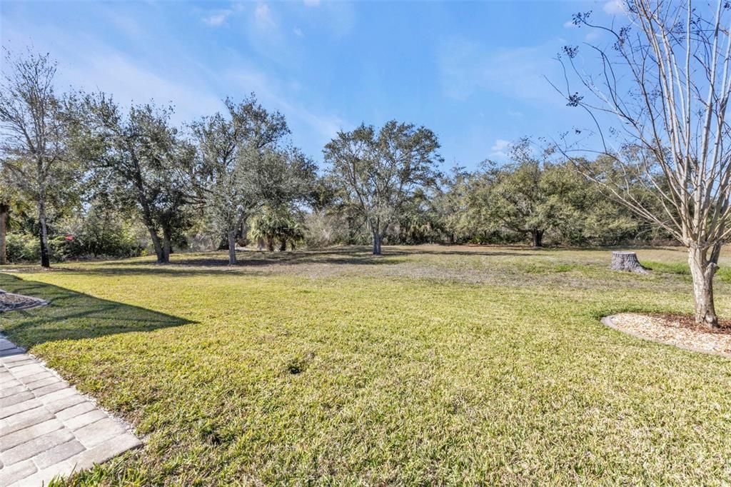 最近售出: $30,000 (0.31 acres)