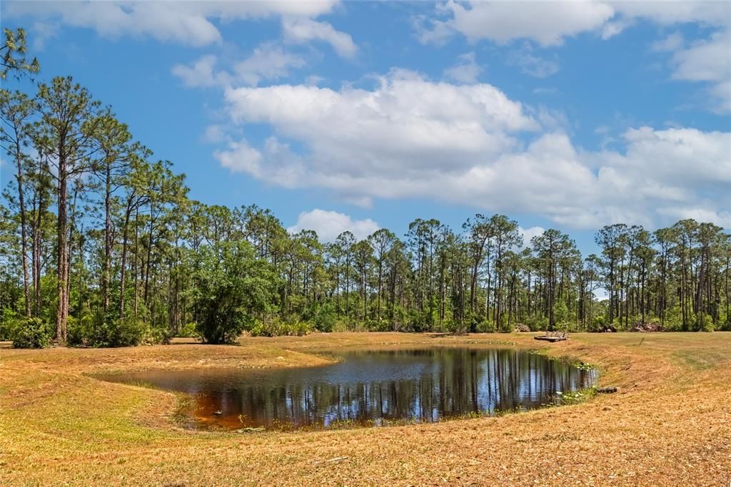 For Sale: $1,560,000 (4 beds, 3 baths, 3047 Square Feet)