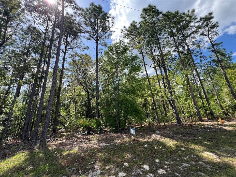 En Venta: $57,970 (0.24 acres)