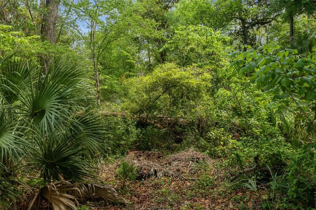 For Sale: $50,000 (0.66 acres)