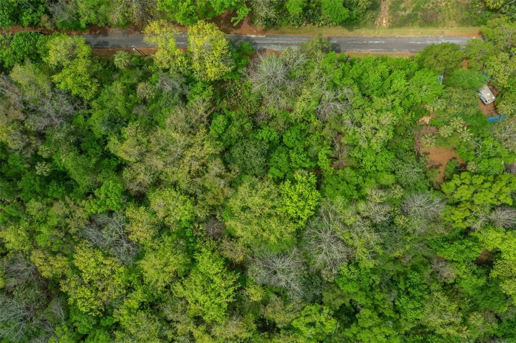 For Sale: $50,000 (0.66 acres)