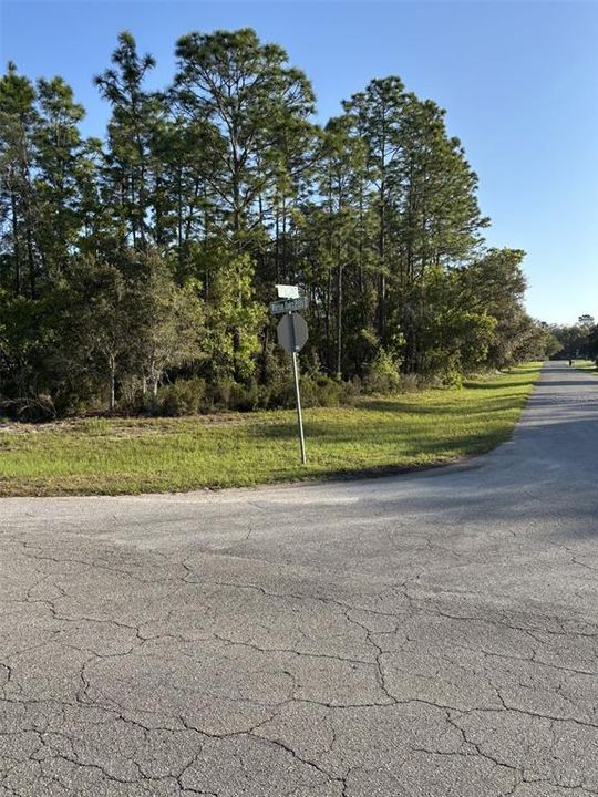 For Sale: $46,000 (0.25 acres)