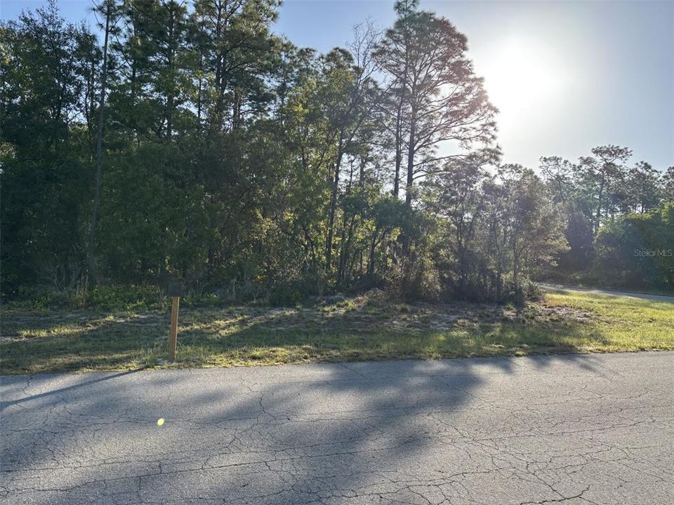 For Sale: $46,000 (0.25 acres)