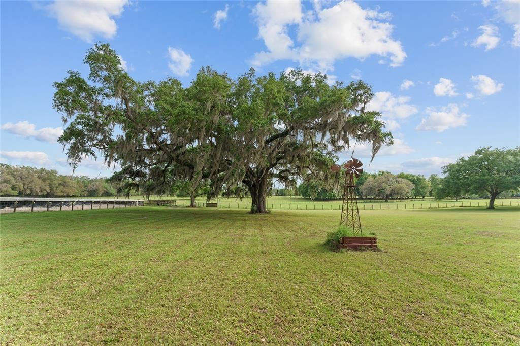 На продажу: $522,900 (3 спален, 2 ванн, 1872 Квадратных фут)