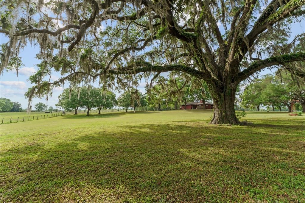 На продажу: $522,900 (3 спален, 2 ванн, 1872 Квадратных фут)