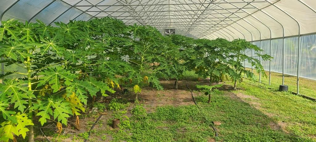 En Venta: $7,999,000 (13.83 acres)