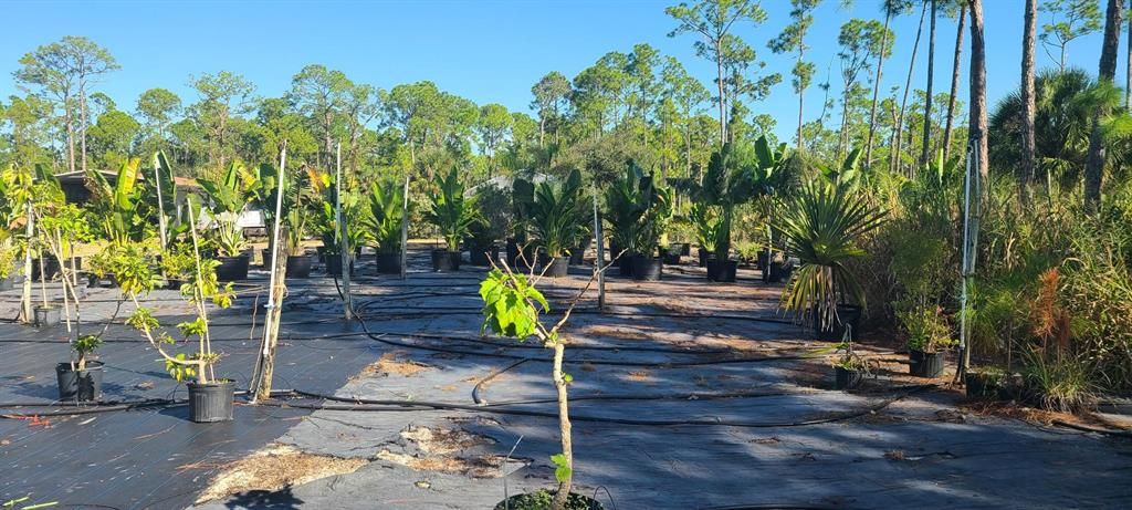 En Venta: $7,999,000 (13.83 acres)