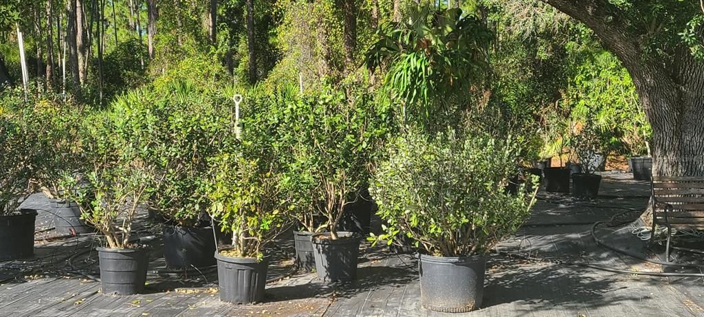 En Venta: $7,999,000 (13.83 acres)